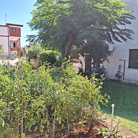 Apartments Reinic Novigrad  Luaran gambar
