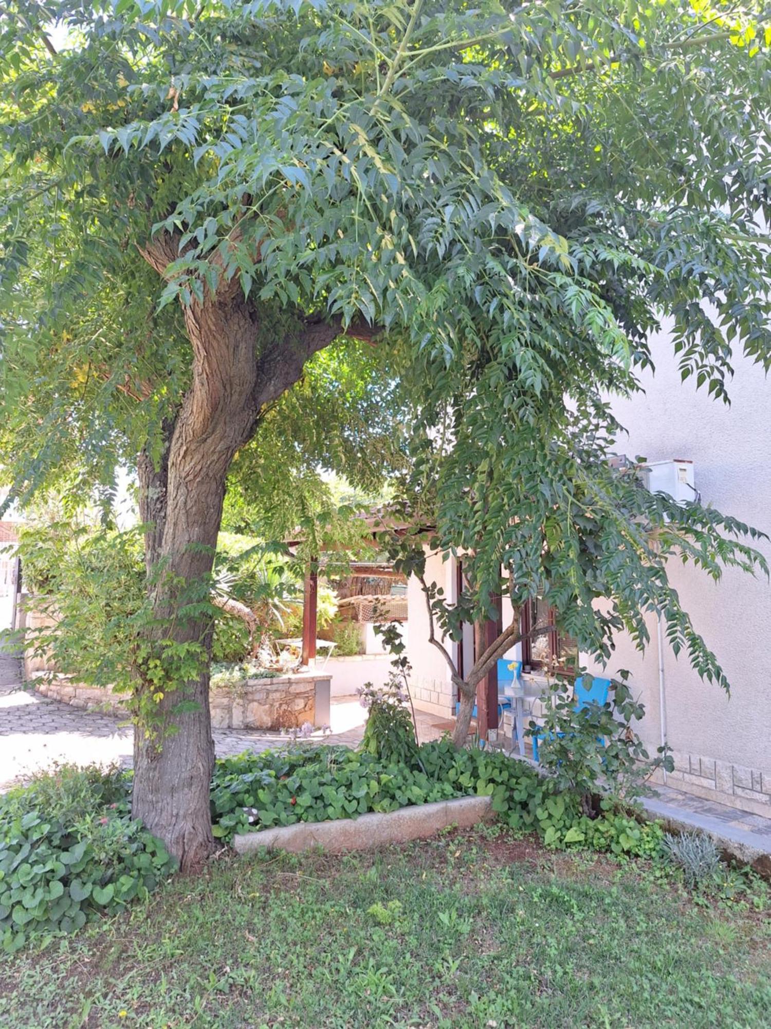 Apartments Reinic Novigrad  Luaran gambar