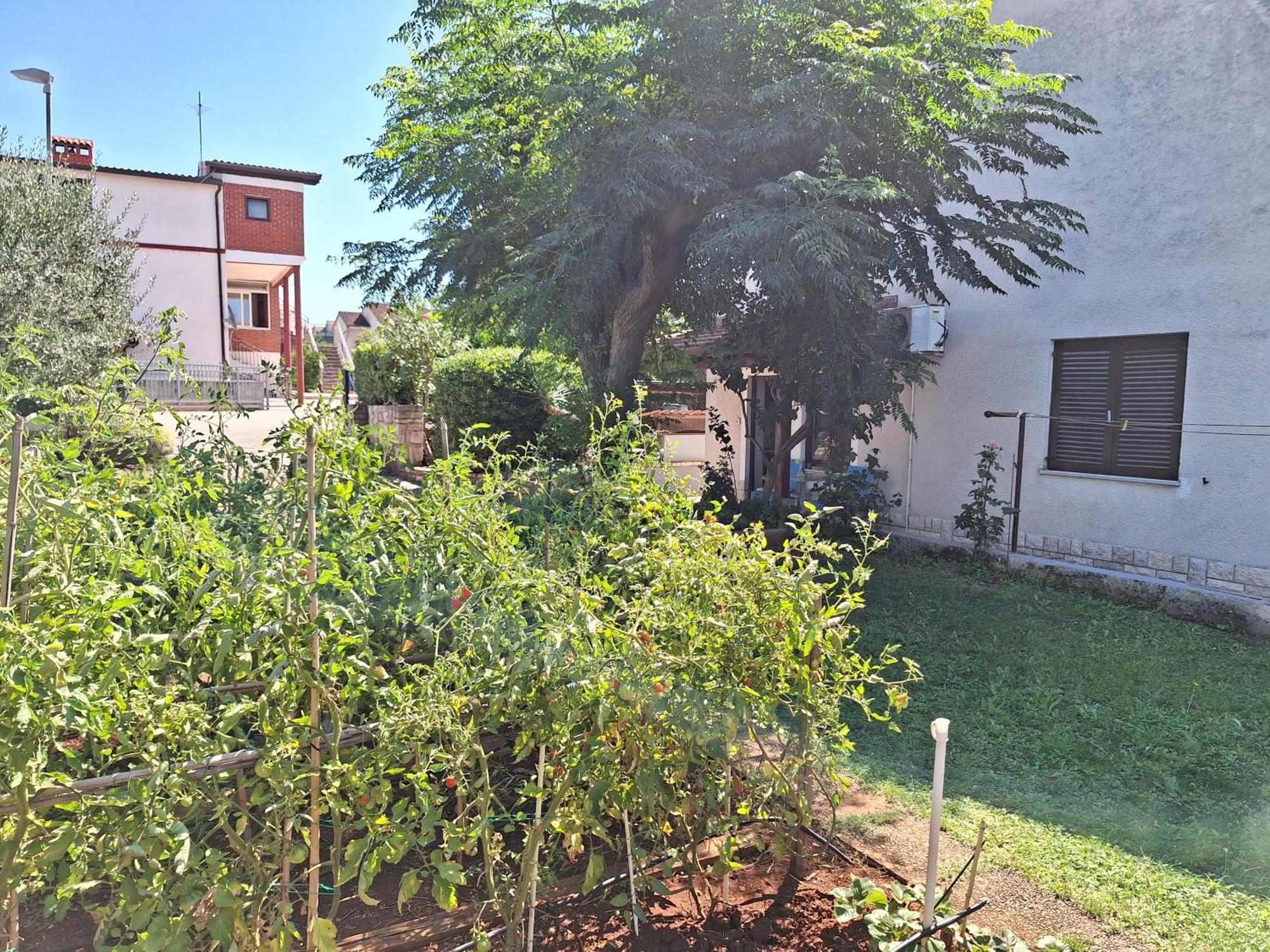 Apartments Reinic Novigrad  Luaran gambar